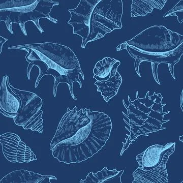 Seamless pattern with shells. Black and white detailed ink illustrations fo.. 스톡 일러스트