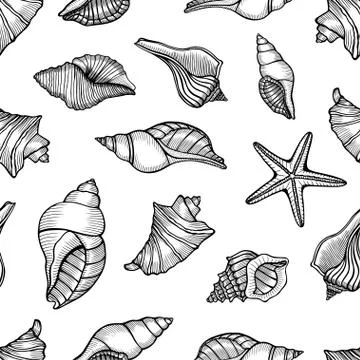 Seamless pattern with shells 库存插图