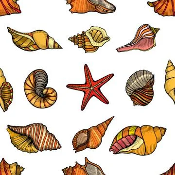 Seamless pattern shells イラスト素材