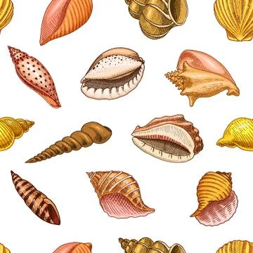 Seamless pattern shells or mollusca different forms. sea creature. engraved hand 스톡 일러스트
