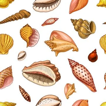 Seamless pattern shells or mollusca different forms. sea creature. engraved hand Illustrazione stock