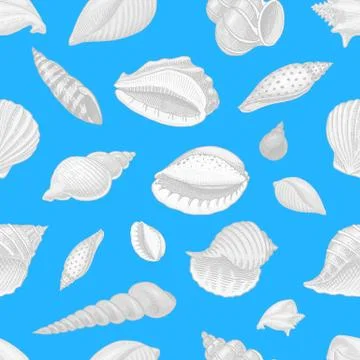 Seamless pattern shells or mollusca different forms. sea creature. engraved hand Stock Illustration