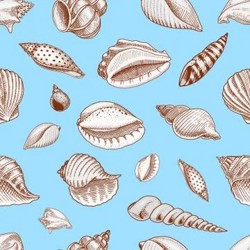 Seamless pattern shells or mollusca different forms. sea creature. engraved hand Stock Illustration
