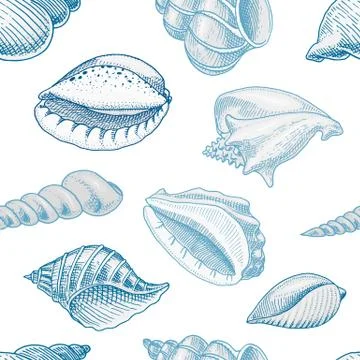 Seamless pattern shells or mollusca different forms. sea creature. engraved hand Illustrazione stock