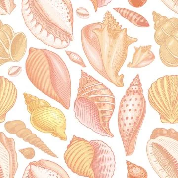 Seamless pattern shells or mollusca different forms. sea creature. engraved hand 스톡 일러스트