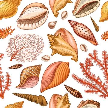 Seamless pattern shells, seaweed and mollusca different forms. sea creature イラスト素材