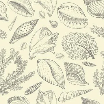 Seamless pattern shells, seaweed and mollusca different forms. sea creature Illustrazione stock