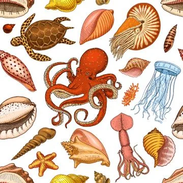 Seamless pattern shells, seaweed and octopus and squid. sea life and creature イラスト素材