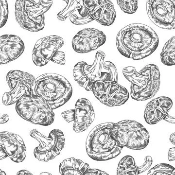 Seamless pattern with shiitake mushrooms engraved hand drawn vector, Asian raw Stock Illustration