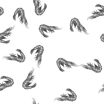 Seamless pattern shrimp king tiger sketch hand drawn Stockillustratie