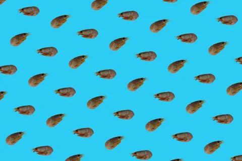 Seamless pattern of shrimps on a blue background. Stock Photos