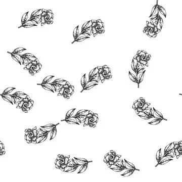 Seamless pattern shrub gardenia sketch hand drawn Stock Illustration