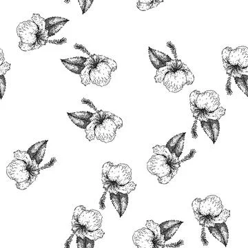Seamless pattern silhouette hibiscus sketch hand drawn Stock Illustration