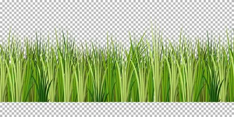 Seamless pattern silhouette of light green grass in swamp style, vector eps10 Stock Illustration