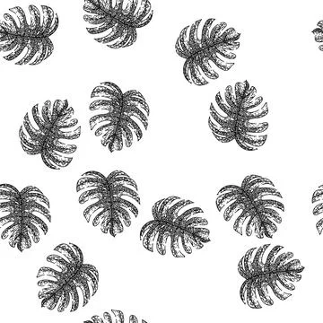 Seamless pattern silhouette monstera leaf sketch hand drawn Stock Illustration