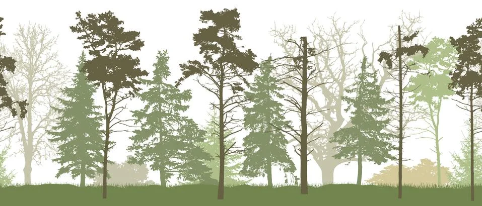 Seamless pattern of silhouette of spring forest. Vector illustration. Illustrazione stock