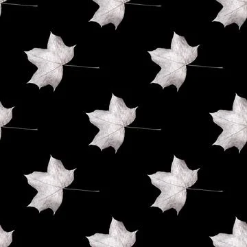 Seamless pattern of silver leaves isolated on a black background Stock Photos