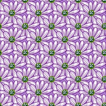 Seamless pattern with simple daisy flowers shapes. Purple background. Natural Stock Illustration