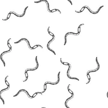 Seamless pattern simple worm sketch hand drawn Stock Illustration