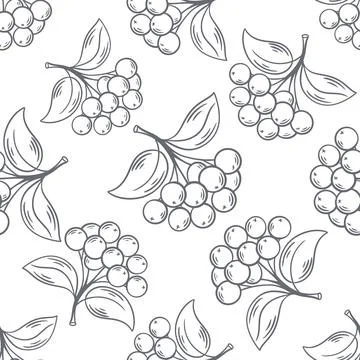 Seamless pattern with sketch of berry branches and leaves Ilustración de archivo