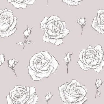 Seamless pattern with sketch flowers. Rose for wedding invitation, greeting c Stock Illustration