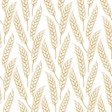 Seamless pattern sketch of ripe spikelets vector graphics Stockillustratie
