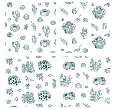 Seamless pattern with sketch of Seal Ocean life organisms shells, fish, cor.. Illustrazione stock