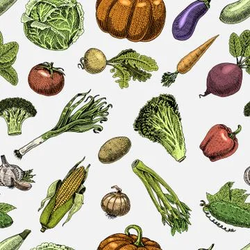 Seamless pattern with sketch of vegetables and spices. hand drawn, engraved Stock Illustration