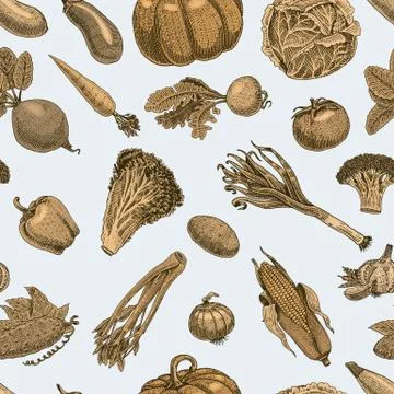 Seamless pattern with sketch of vegetables and spices. hand drawn, engraved Stock Illustration