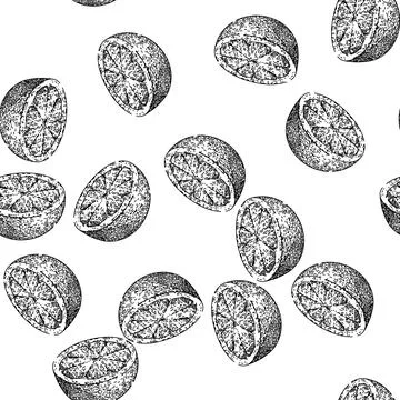 Seamless pattern slice grapefruit red sketch hand drawn イラスト素材