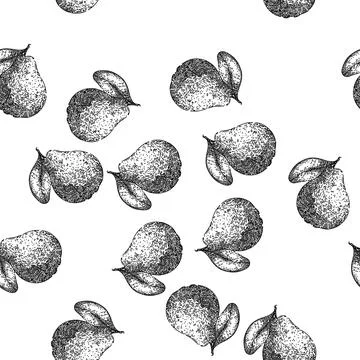 Seamless pattern slice guava fruit sketch hand drawn Stock Illustration