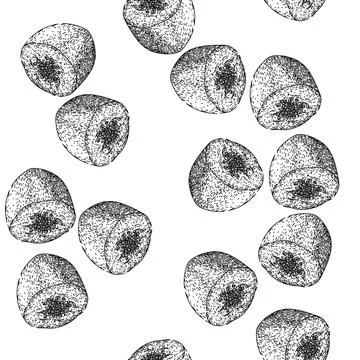 Seamless pattern slice papaya fruit sketch hand drawn Illustrazione stock