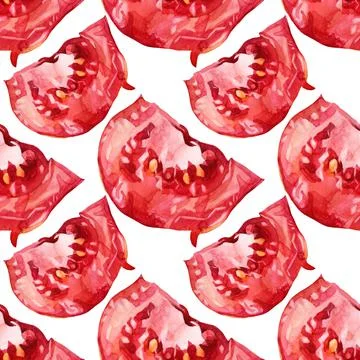 Seamless pattern slice tomato on white background. Watercolor red hand drawn Stock Illustration
