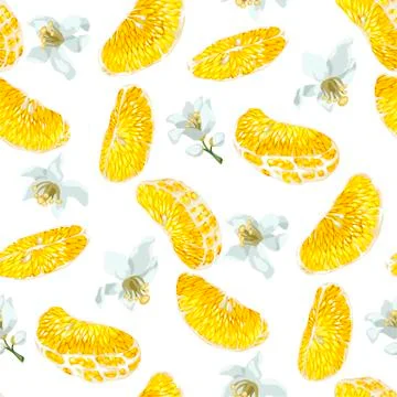 Seamless pattern with  slices  of citrus fruit and blooming  flowers and buds Stock Illustration