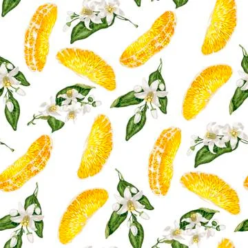 Seamless pattern with  slices  of citrus fruit and branches with blooming  fl Stock Illustration