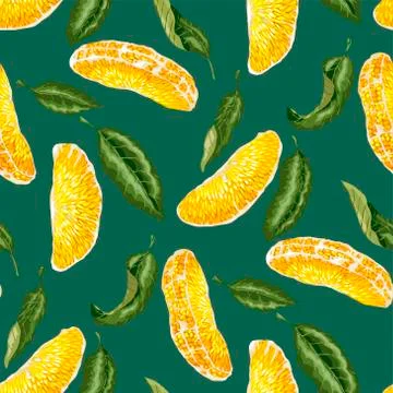 Seamless pattern with  slices  of citrus fruit and leaves. Vector design  rea Stock-Illustration