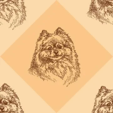 Seamless pattern with small Pomeranian on orange background Stock Illustration
