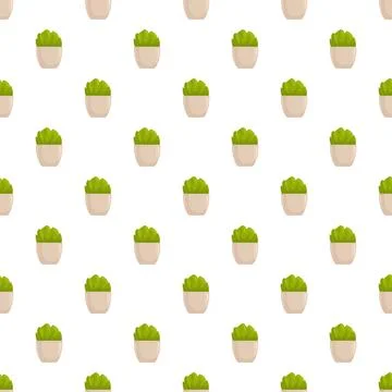 Seamless pattern of small potted green succulents Stock Illustration