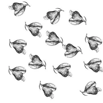 Seamless pattern snack cashew nut sketch hand drawn Stock Illustration