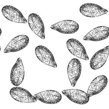 Seamless pattern snack sunflower seed sketch hand drawn Stock Illustration