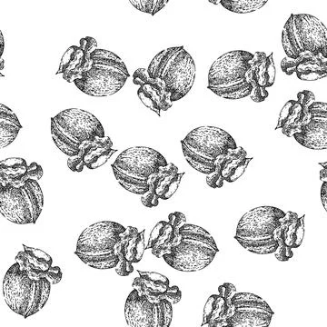 Seamless pattern snack walnut sketch hand drawn イラスト素材