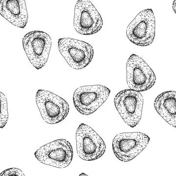 Seamless pattern snake salak fuit sketch hand drawn Illustrazione stock