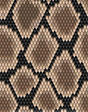 Seamless pattern of snake skin イラスト素材