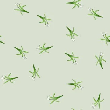 Seamless pattern Snowdrop flower blooming early spring season Stock Illustration