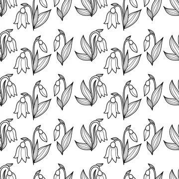 Seamless pattern of snowdrop flowers and leaves on white background. Hand d.. Stock Illustration