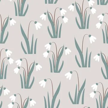 Seamless pattern with Snowdrops flowers on grey background. Vector Illustration. Stock Illustration