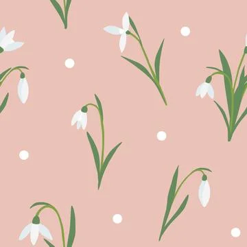Seamless pattern with snowdrops spring flowers on pink background, vector Stock Illustration
