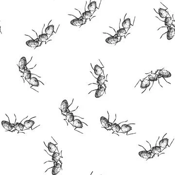 Seamless pattern soldier ant sketch hand drawn 스톡 일러스트