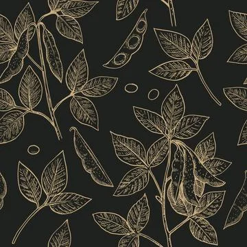 Seamless pattern with soy plants and beans in engraving style. Detailed han.. イラスト素材