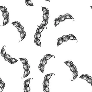 Seamless pattern soya bean food pod sketch hand drawn イラスト素材